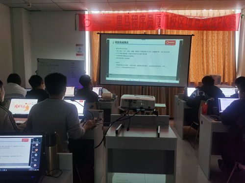 就業(yè)班28期項目實戰(zhàn) 構(gòu)建“黑馬程序員技術(shù)交流社區(qū)”